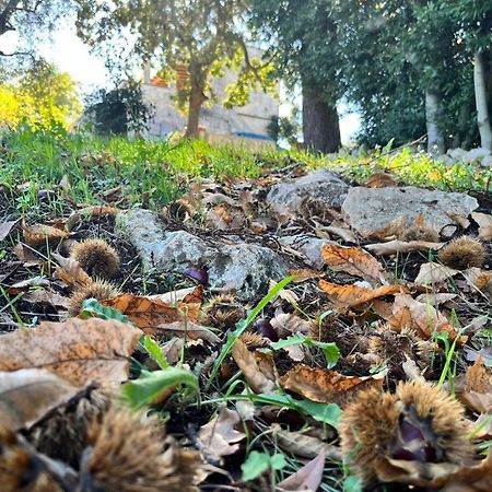 Il Trullo E Il Fortino Alberobello Ngoại thất bức ảnh
