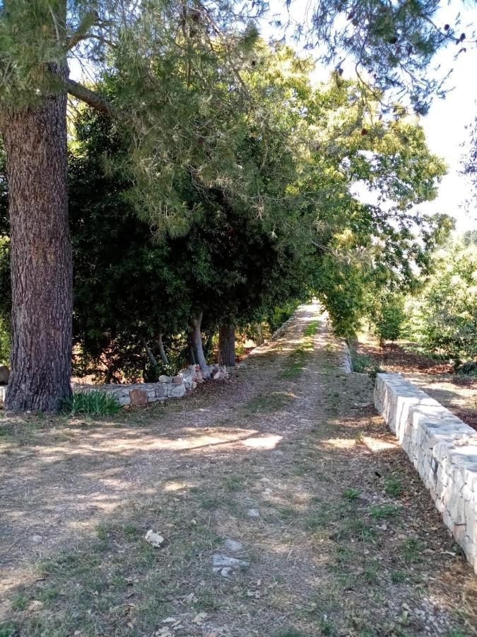Il Trullo E Il Fortino Alberobello Ngoại thất bức ảnh
