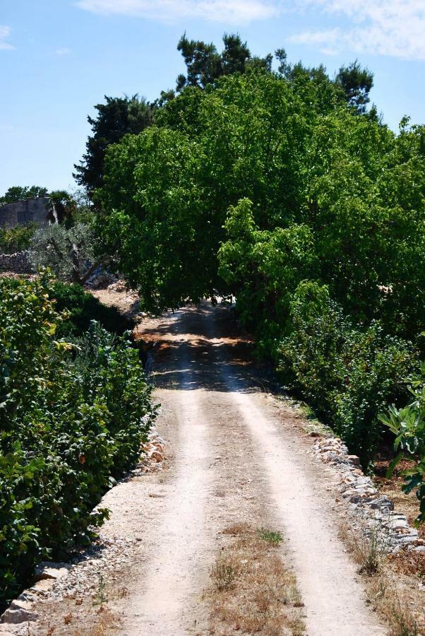 Il Trullo E Il Fortino Alberobello Ngoại thất bức ảnh